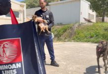 ΟΦΗ & MINOAN LINES: Πρόσφερε κι εσύ αγάπη σε ένα αδέσποτο ζώο