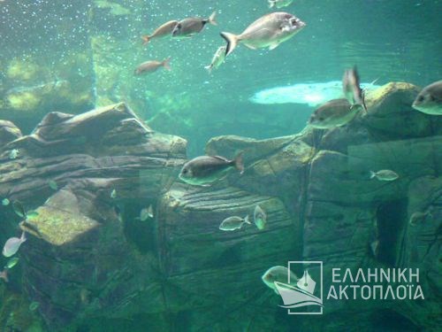 aquarium of Rhodes