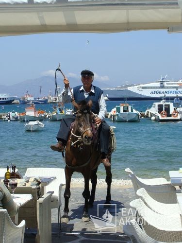 tourist horse riding at mykonos