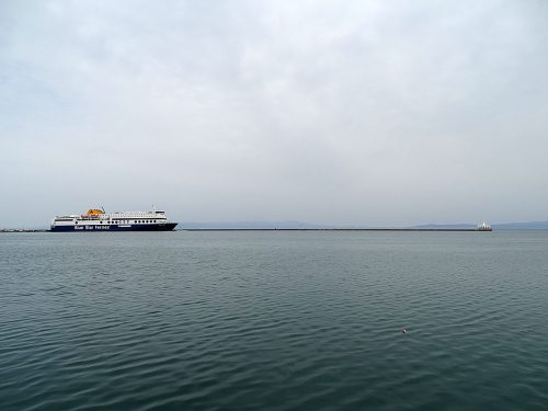 blue star 1 