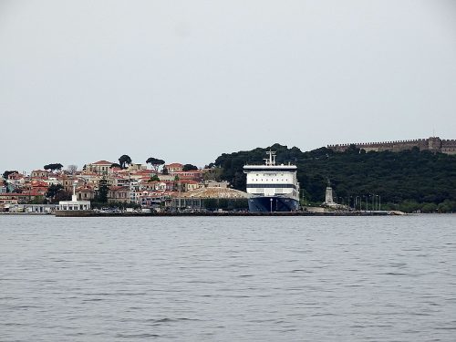 blue star 1 